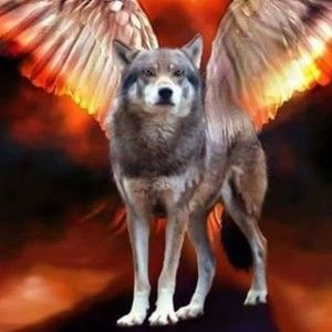 Meet your Posher, Elizabet